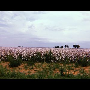 Meet your Posher, Mckenzie